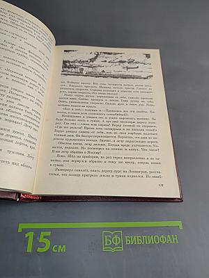 Полярный лётчик