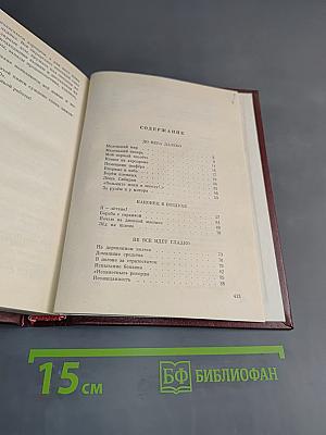 Полярный лётчик