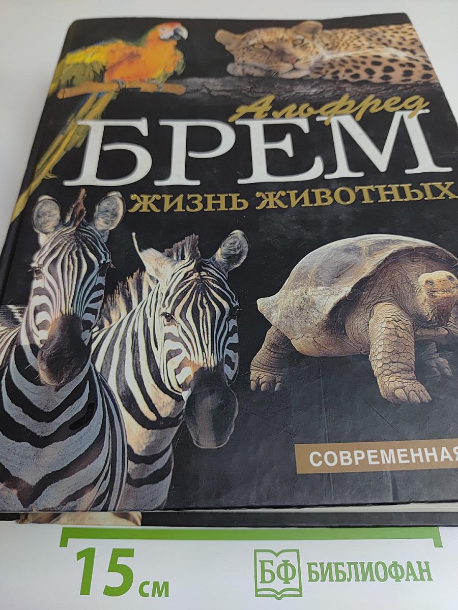 Жизнь животных