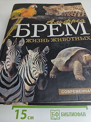 Жизнь животных