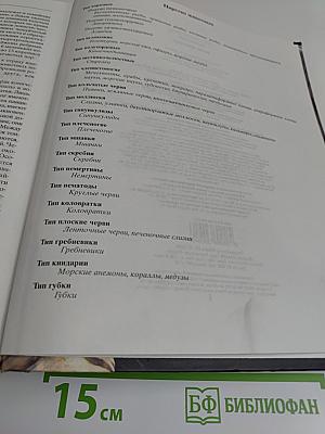 Жизнь животных