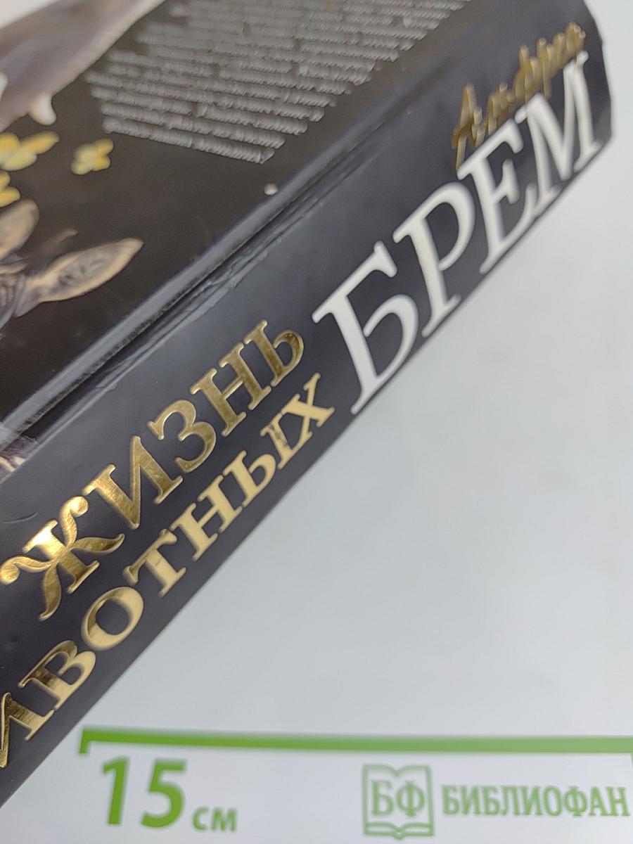 Жизнь животных