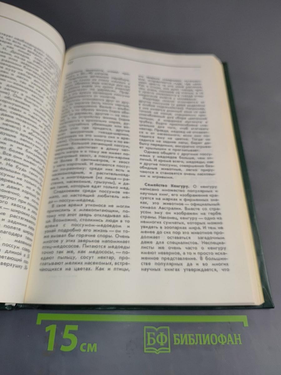 Соседи по планете. Млекопитающие