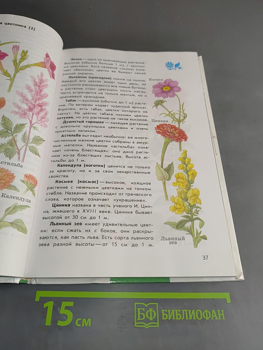 Зеленый дом. Атлас-определитель. От земли до неба