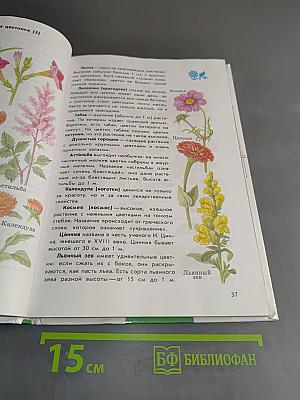Зеленый дом. Атлас-определитель. От земли до неба