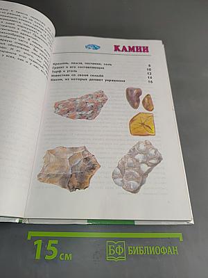 Зеленый дом. Атлас-определитель. От земли до неба