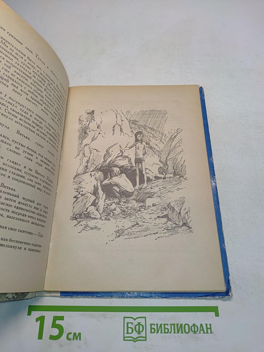 Эхо
