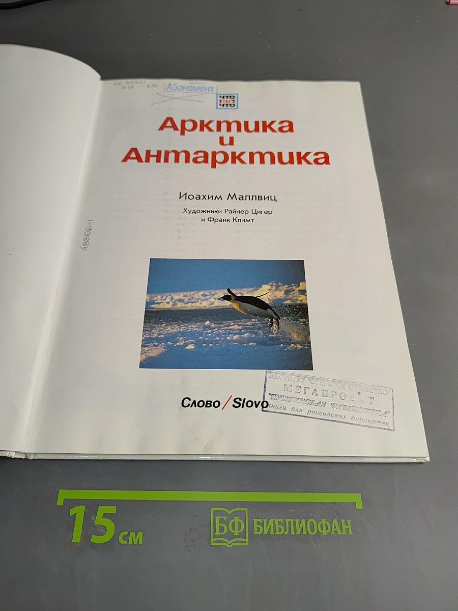 Арктика и Антарктика