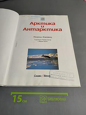 Арктика и Антарктика