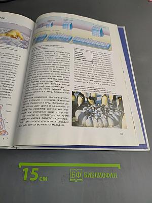 Арктика и Антарктика