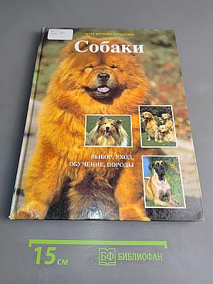 Собаки