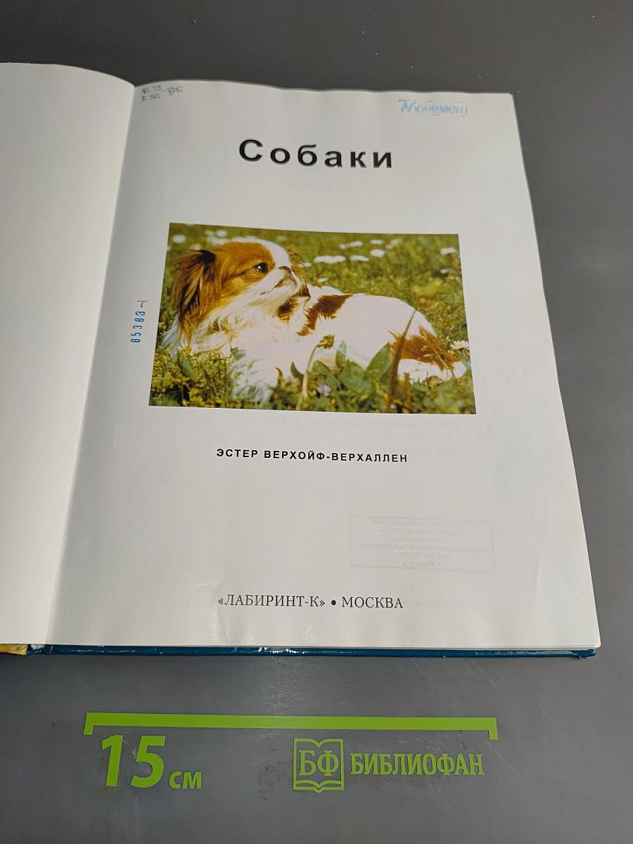 Собаки