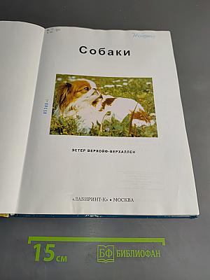 Собаки