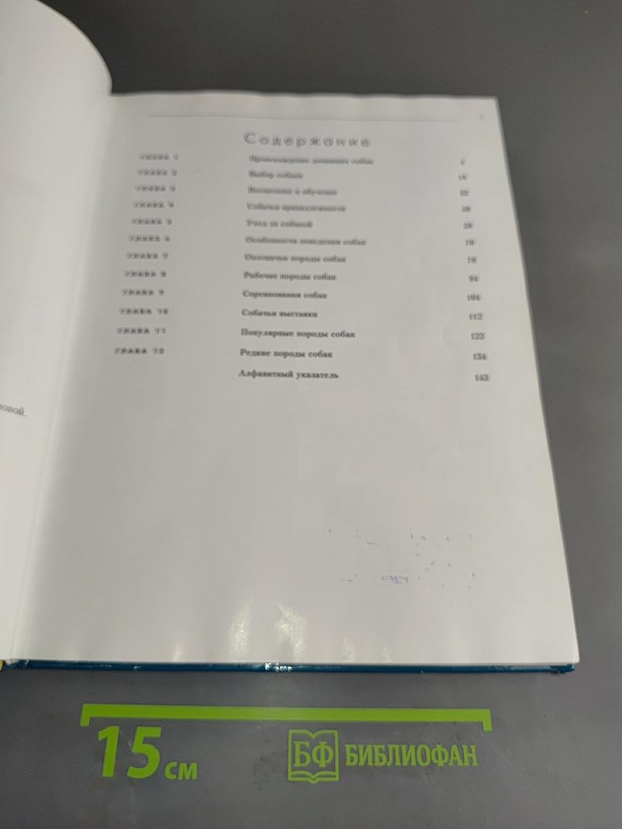 Собаки