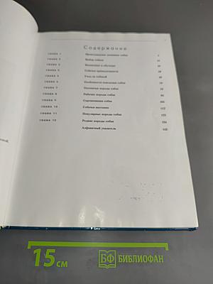 Собаки