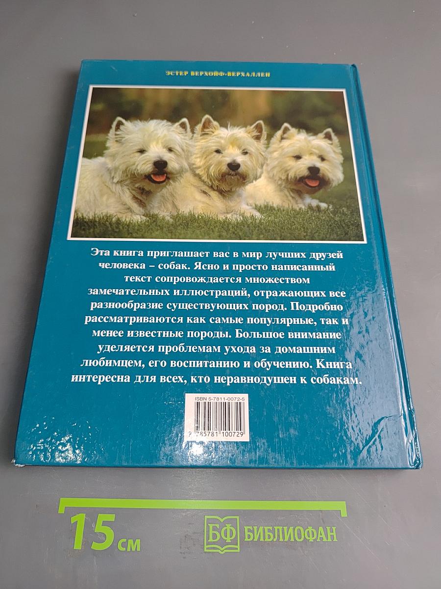 Собаки
