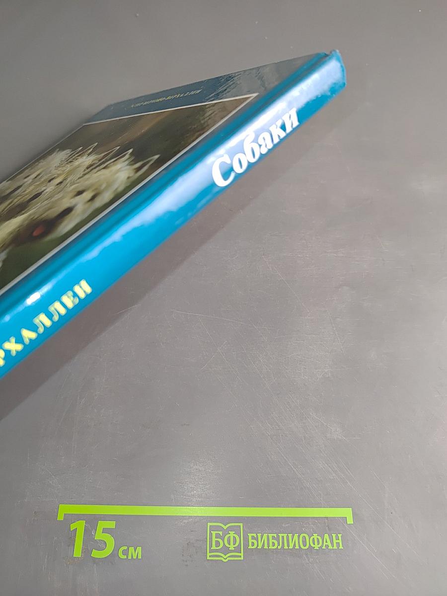 Собаки
