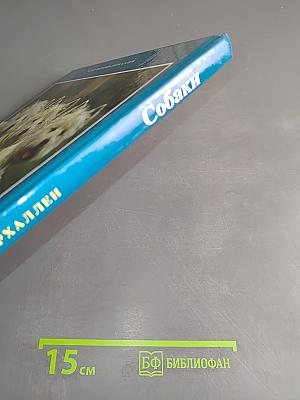 Собаки