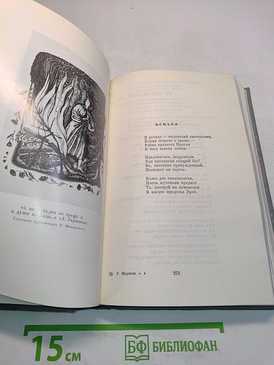 Собрание сочинений. Том четвертый. Переводы