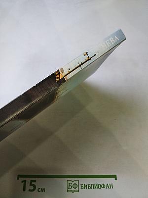 Нева, номер 2, 2010 год