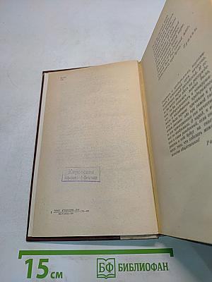 Россия молодая. Исторический роман. Книга первая