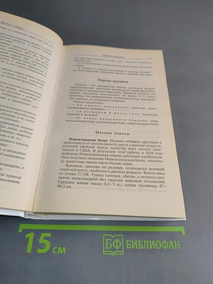 Кролики и нутрии