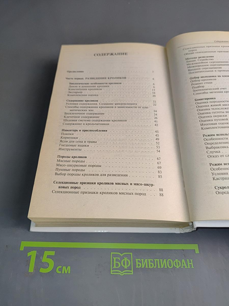Кролики и нутрии