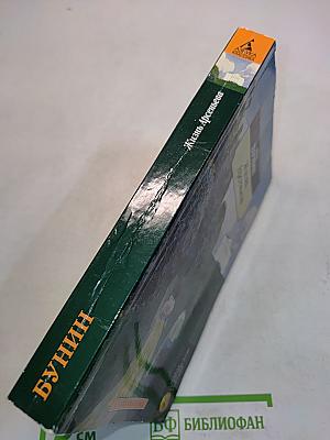 Жизнь Арсеньева