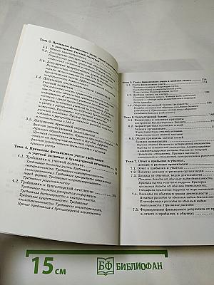 Основы финансового учета