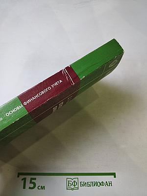 Основы финансового учета