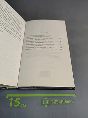 Странствия мага. Том первый. Хранитель мечей