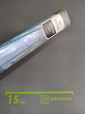 Странствия мага. Том первый. Хранитель мечей