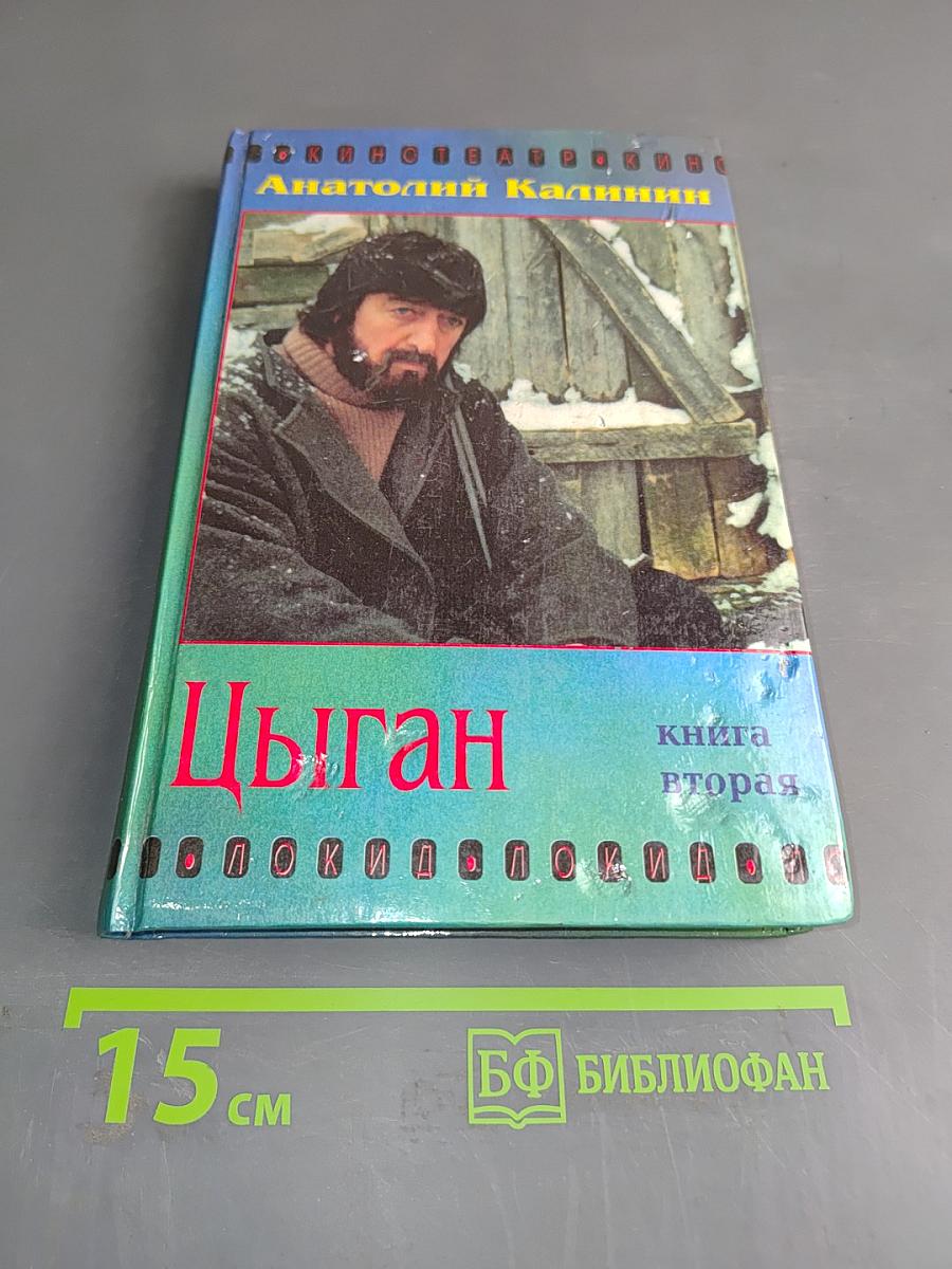 Цыган. Книга вторая