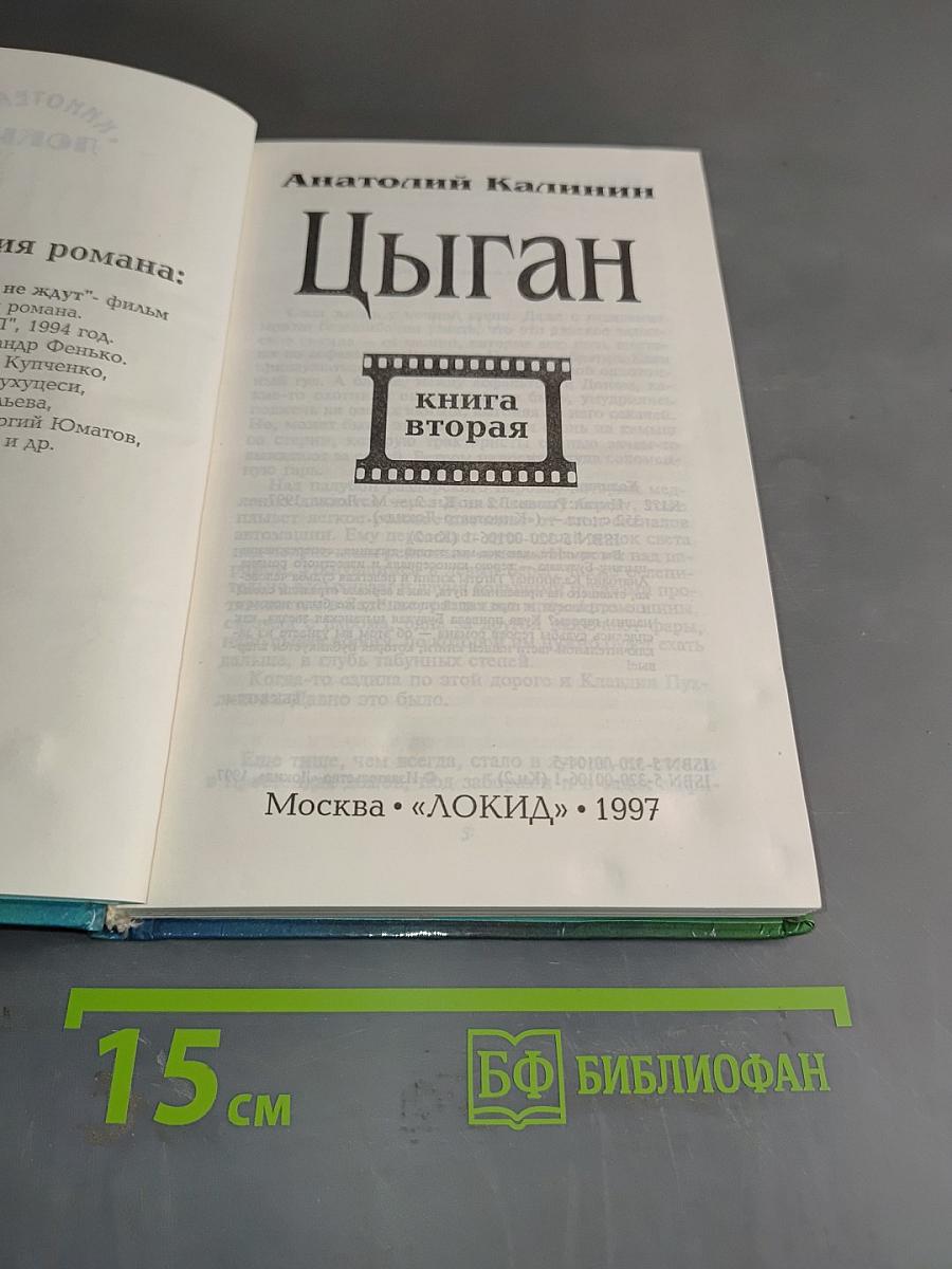 Цыган. Книга вторая