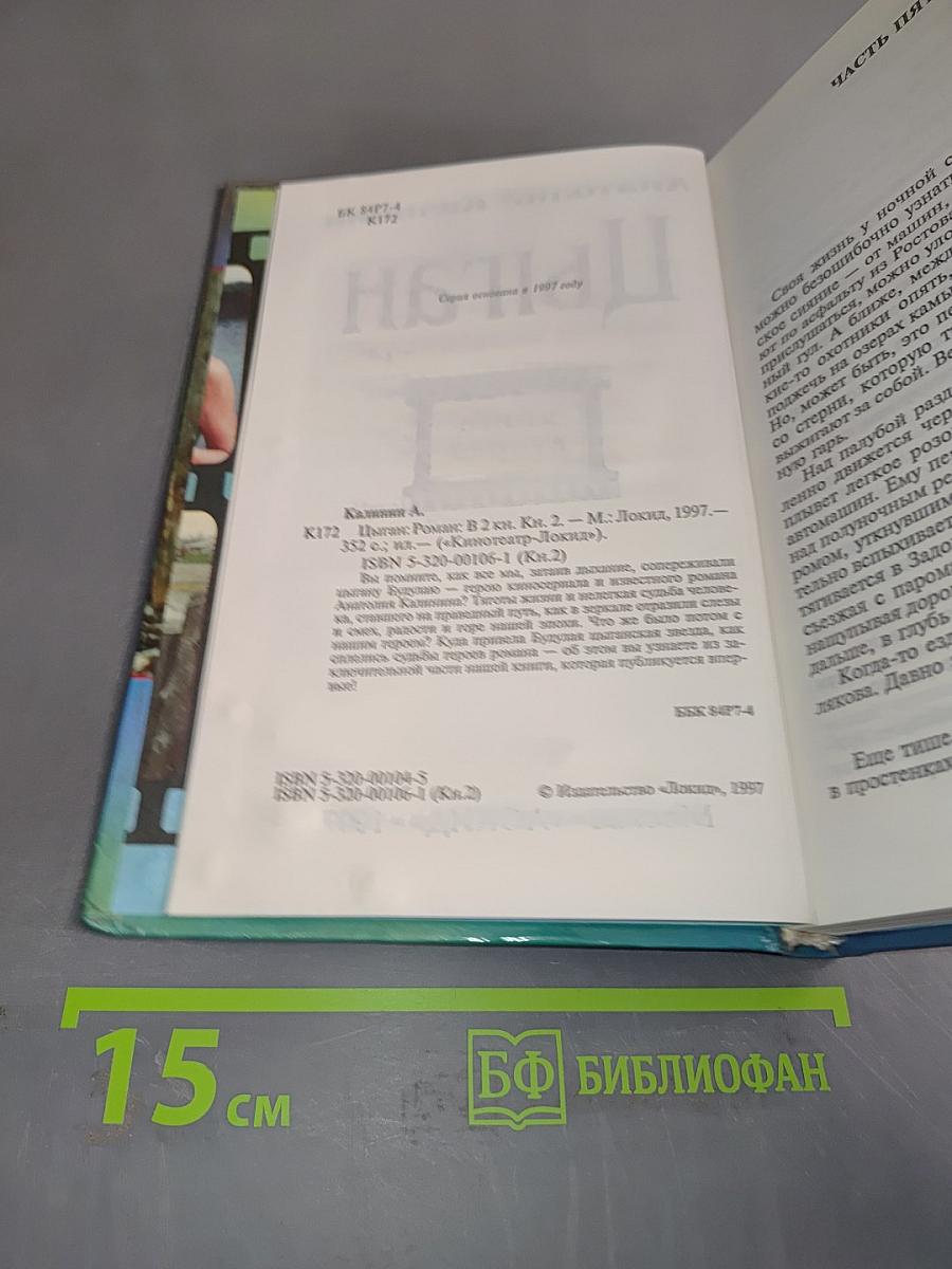 Цыган. Книга вторая