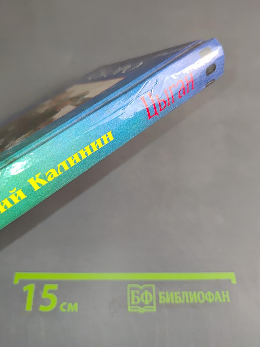 Цыган. Книга вторая