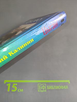 Цыган. Книга вторая