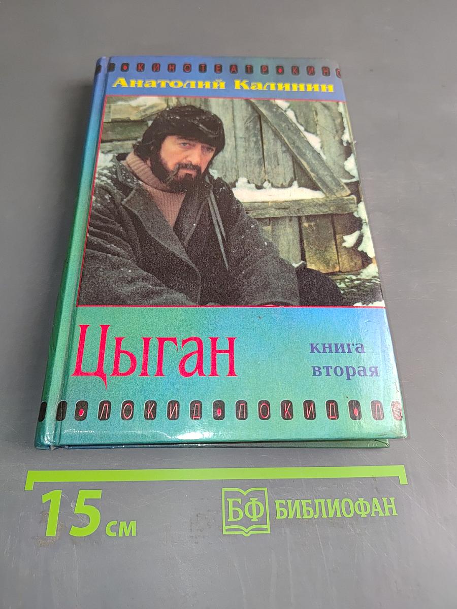 Цыган. Книга вторая