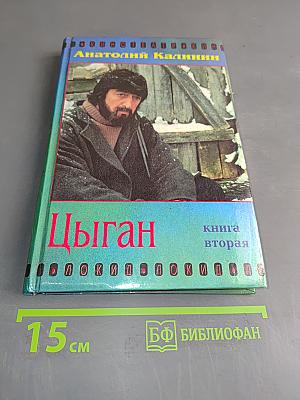 Цыган. Книга вторая