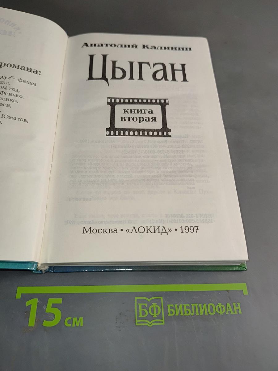Цыган. Книга вторая