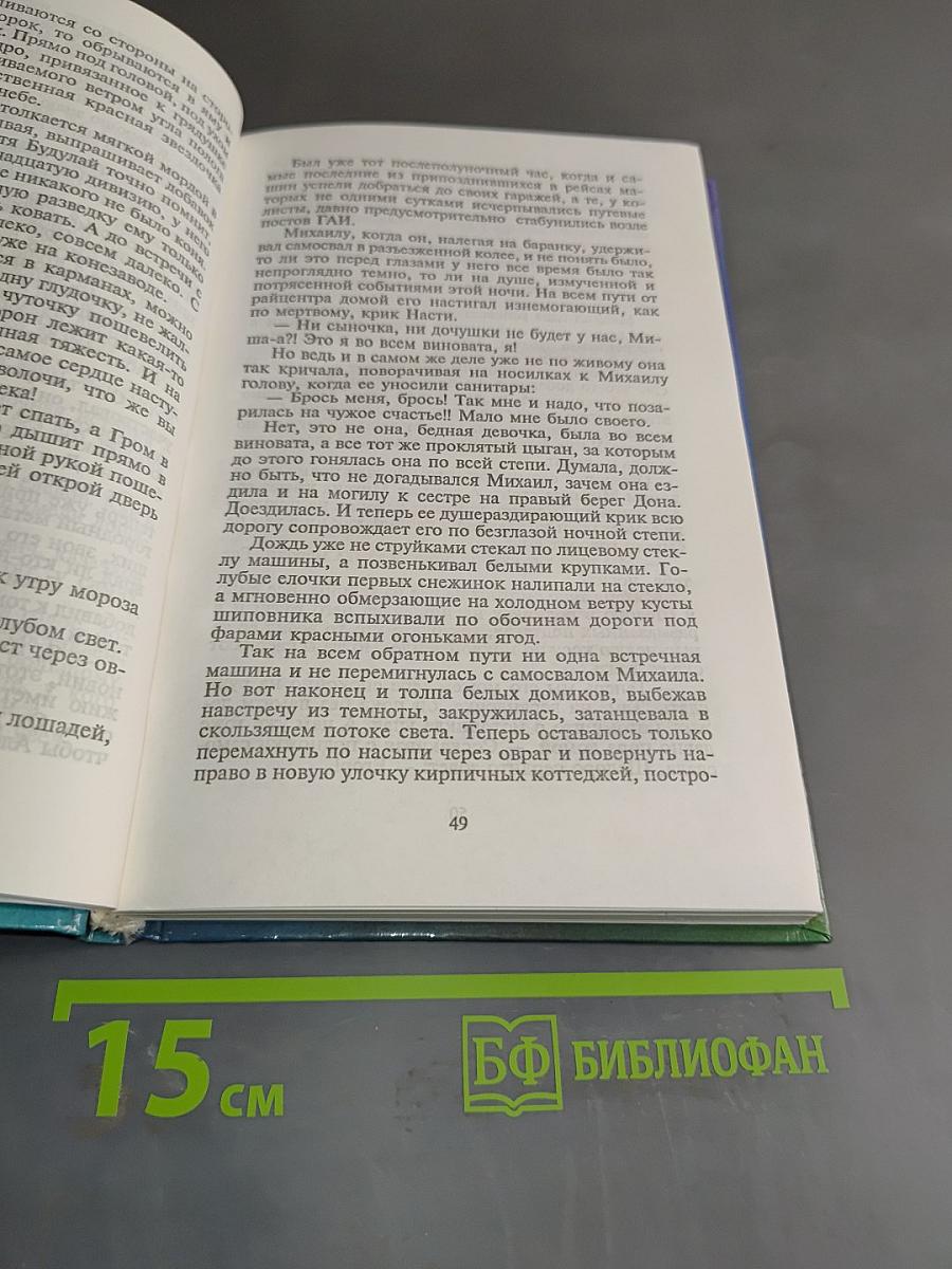Цыган. Книга вторая