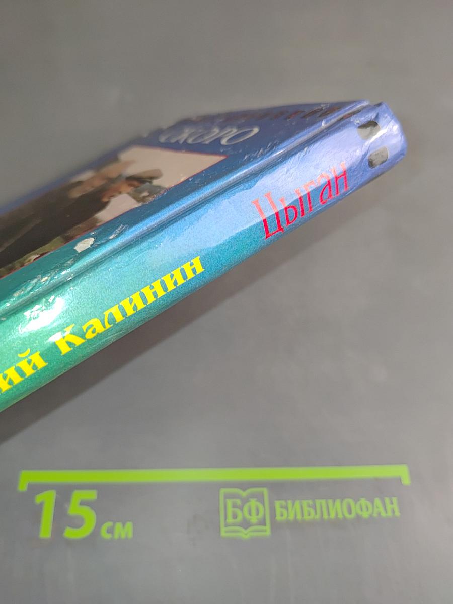 Цыган. Книга вторая