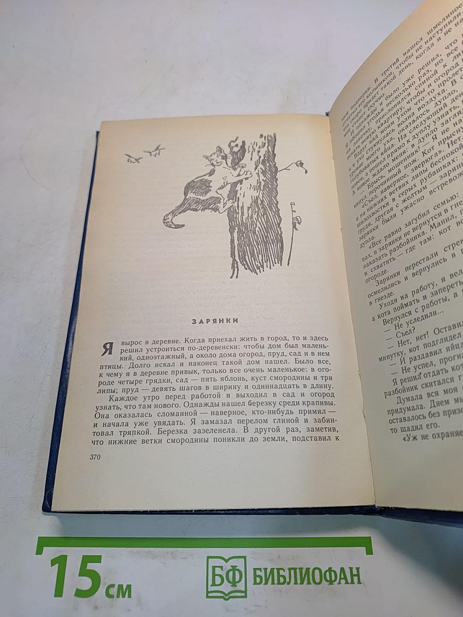 Парень с большим именем