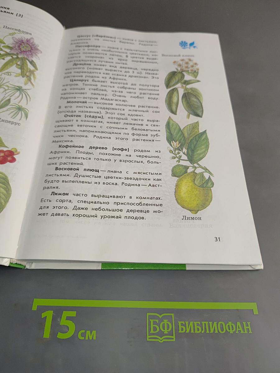 Атлас-определитель От земли до неба