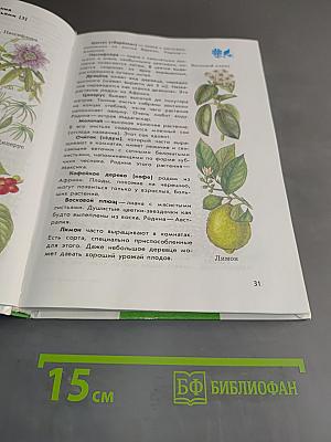 Атлас-определитель От земли до неба