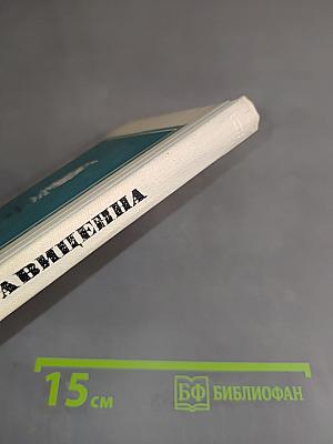 Великий врачеватель. Жизнеописание