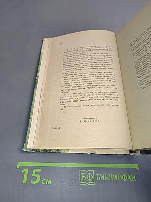 Человек ищет своих предков