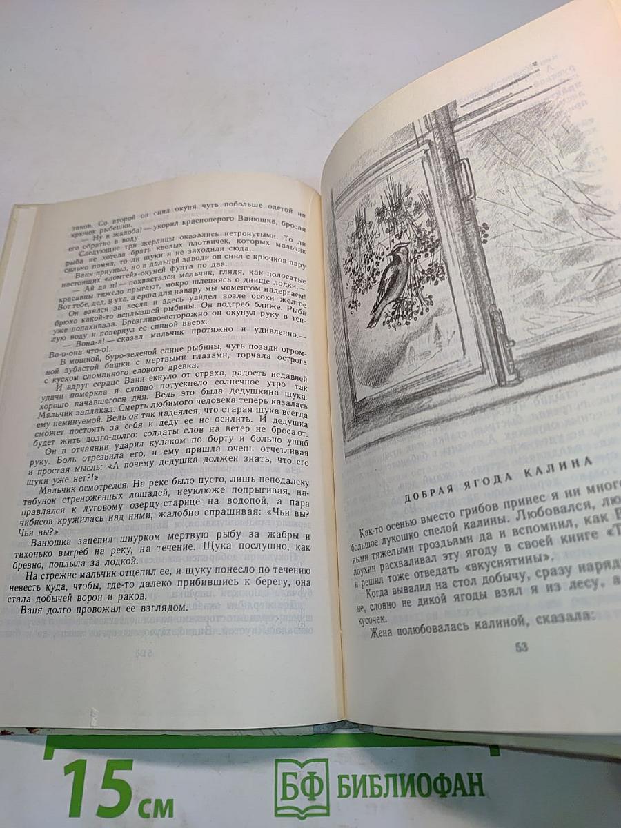 Добрая ягода калина