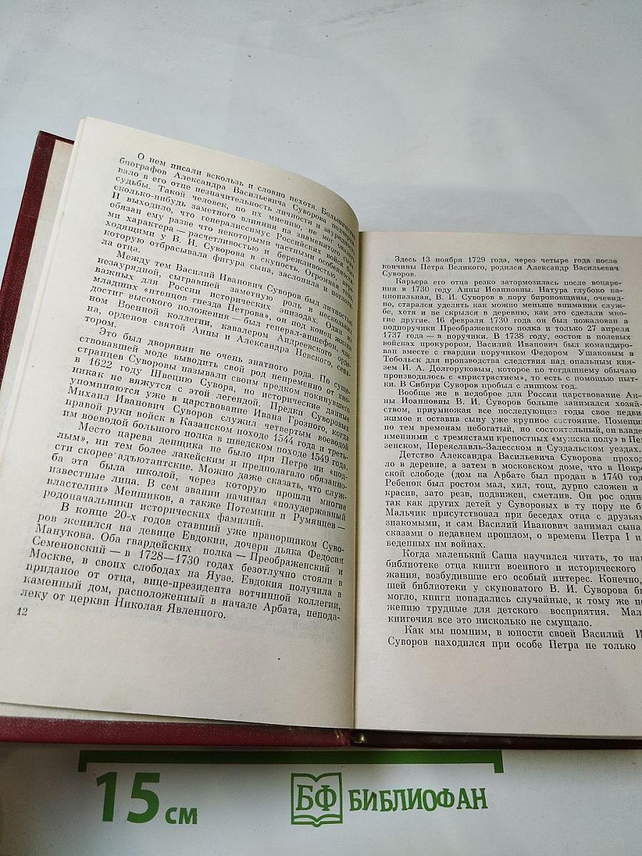 Суворов: Исторический роман