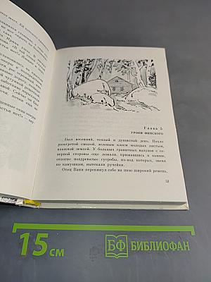 Консул